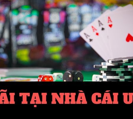 vi68-Code tân thủ – Cơ hội để bắt đầu một cuộc phiêu lưu mới!