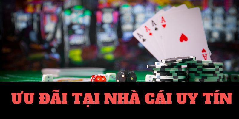 vi68-Code tân thủ - Cơ hội để bắt đầu một cuộc phiêu lưu mới!